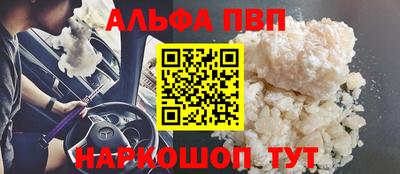 спайс Кингисепп