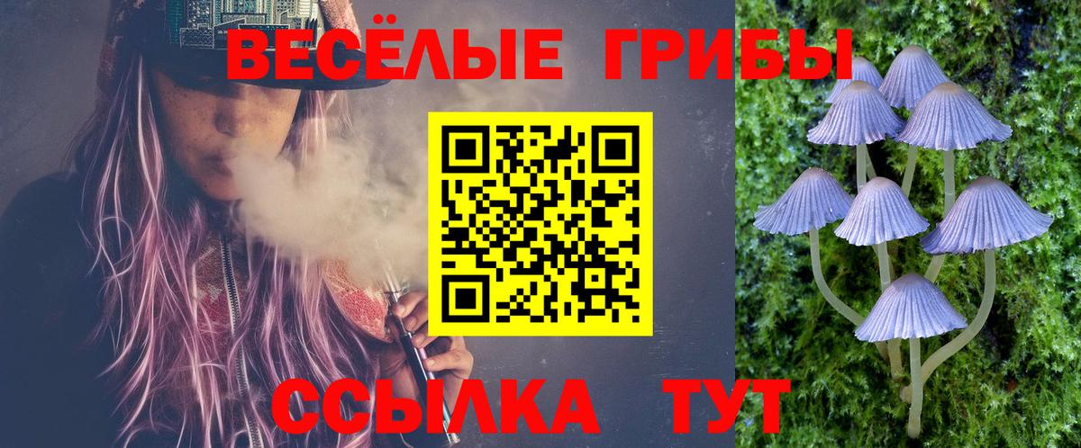 Заречный  Галлюциногенные грибы Psilocybine cubensis  Вход с VPN 